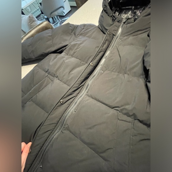 NWOT gorgeous Sanctuary puffer jacket - Picture 12 of 17